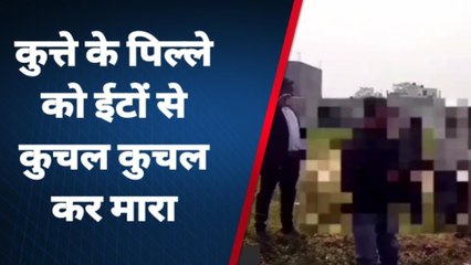 Descargar video: बदायूं: चूहे के बाद अब कुत्ते के पिल्ले की हत्या, बच्चें को काटा तो पिता ने पत्थरों से कुचला