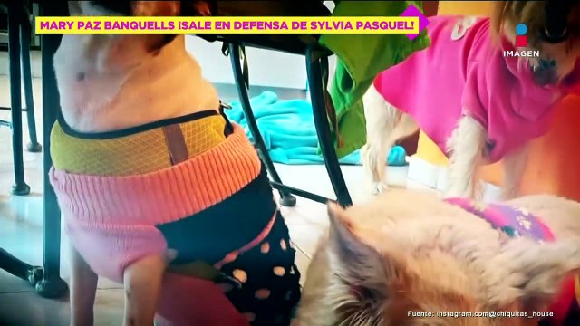 Mary Paz Banquells defiende a Sylvia Pasquel