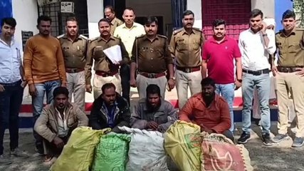 शाजापुर: पुलिस ने चंदन तस्कर गिरोह को किया गिरफ्तार, 70 किलो 700 ग्राम चंदन बरामद