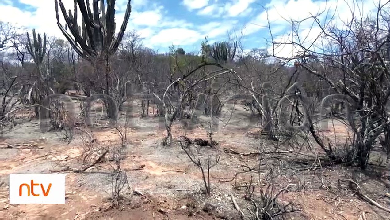 La sequía afecta a municipios del Cono Sur de Cochabamba - Vídeo ...