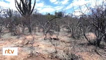 La sequía afecta a municipios del Cono Sur de Cochabamba