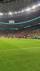 Richarlison! What have you done?!  #brasil #Brazil #richarlison ##FIFAWorldCup