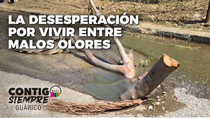 La desesperación por vivir entre malos olores - Contigo Siempre