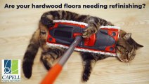 Are you in need of your hardwood refinishing_ Capell Flooring - #boise #hardwoodfloors