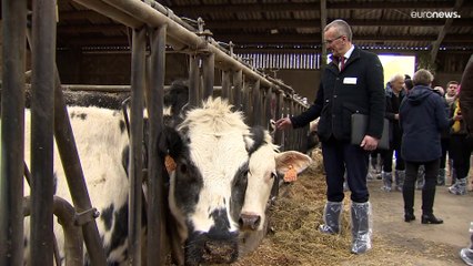 Agricultores temem que custo dos fertilizantes agrave preço dos alimentos