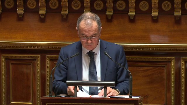 Solidarités : le Sénat vote un budget en hausse centré sur la déconjugalisation de l’AAH