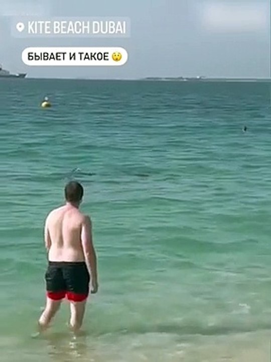 Un requin encercle une nageuse au large de la plage de Dubaï