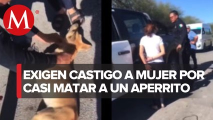 Activistas pro derechos de los animales se manifiestan en SLP