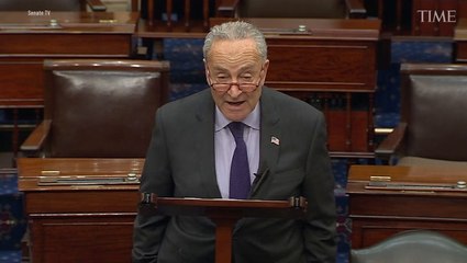 Schumer: Trump Dining With Fuentes Was 'Disgusting'