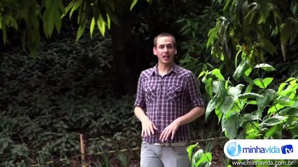 Leishmaniose: Saiba Como Essa Doença Afeta Humanos e Animais 🦟