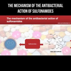 The mechanism of the antibacterial action of sulfonamides