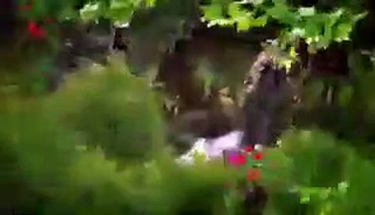 coração indomavel- capitulo 34