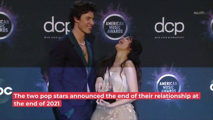 Shawn Mendes Is Said To Be Dating THIS 50-Year-Old Woman