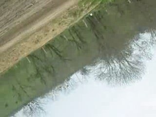 les herbiers moto did