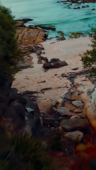 Sydney Beach Cliff Dive Drone View. So Chill.  Drone Travel Adventures Australia.