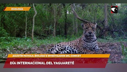 "Es un trabajo que hacemos hace más de 20 años en Misiones"
