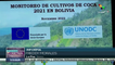 Gobierno de Bolivia discrepa con el informe de la ONU sobre monitoreo de cultivos de coca