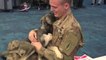 Moment American soldier is reunited with puppy he rescued from Syria