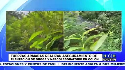 Fuerzas Armadas aseguran narcolaboratorio en Colón