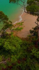 Wait for it...Cliff dive drone view over a beach in Sydney NSW Australia. Travel Adventures Sydney!