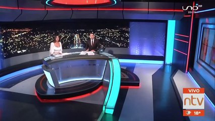 Ofrecen armadillos por redes sociales a 300 bolivianos