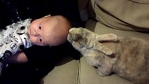 Baby and Bunny Become Buddies