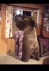 Срочные новости Путин в гостях у Зеленского