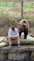 Bear Man Talking To Adult Brown Male Bear and Feeding Him Treats