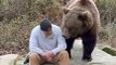 Bear Man Talking To Adult Brown Male Bear and Feeding Him Treats