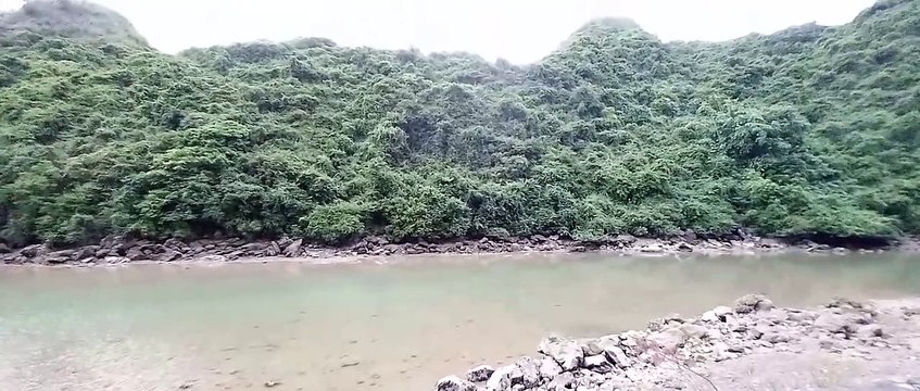 Lan ha bay cat ba center,hai phong city