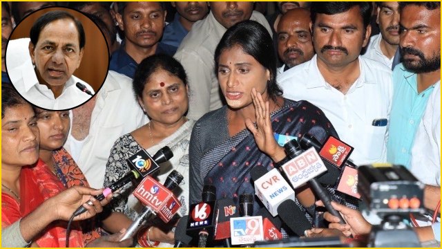 KCR అలాంటి జన్మ ఎందుకు? టీఆర్ఎస్, కేసీఆర్‌పై షర్మిల సంచలన వ్యాఖ్యలు *Telangana | Telugu OneIndia