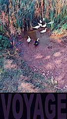 8 - MORVAN-SECRET ⁄ SAINT MARTIN DU PUY (en Bourgogne Franche-Comté)