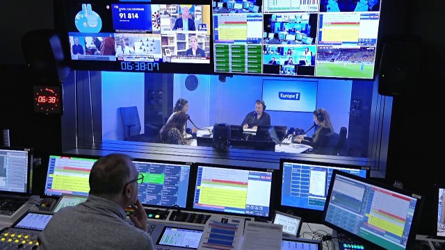 Corse : le séjour inhabituel des pingouins Torda au large de la Méditerranée