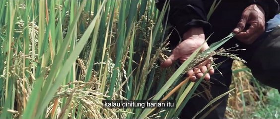 Teknologi Tepat Guna (TTG) PENGEMBANGAN ALAT INOVASI PERTANIAN NIRKABEL
