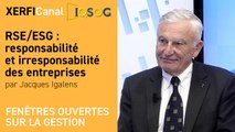 RSE/ESG : responsabilité et irresponsabilité des entreprises [Jacques Igalens]