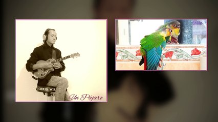 Un Pájaro [ChrisWilson].