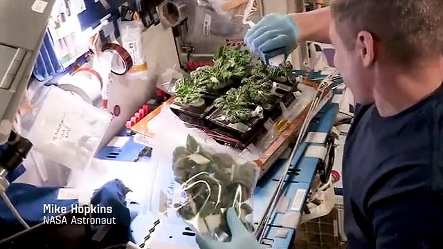 Space Programs हमारे लिए जरूरी क्यों हैं? Why are space programs necessary for us in hindi