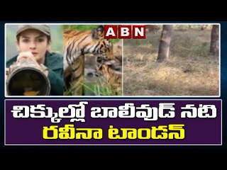 చిక్కుల్లో బాలీవుడ్ నటి రవీనా టాండన్ || Raveena Tandon || ABN Telugu