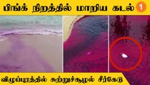 Villupuram அருகே தனியார் தொழிற்சாலையில் இருந்து வெளியேறிய கழிவுநீரால் மாசடைந்த கடல்