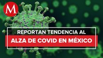 México registra 7 mil 694 casos de covid-19 y 30 muertes en una semana