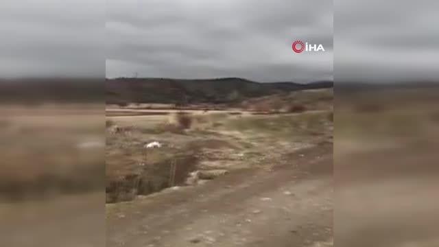 Yavru kartal özgürlüğe böyle kanat çırptı