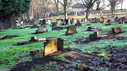 Vandals attack graves in County Durham cemetery
