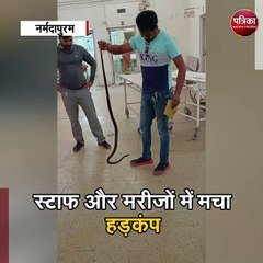 अस्पताल में निकला 5 फीट लंबा सांप