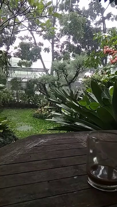 Rainy Day...