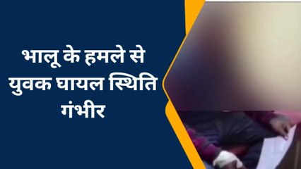जंगल में गाय चराने गए युवक पर भालू ने किया हमला, फिर हुआ ये...