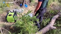 Diez detenidos por cultivar más de 44 toneladas de marihuana en el Pirineo aragonés