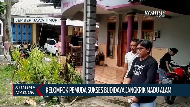 Kelompok Pemuda Sukses Budidaya Jangkrik Madu Alam