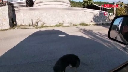 İnsanın içini ısıtan buluşma