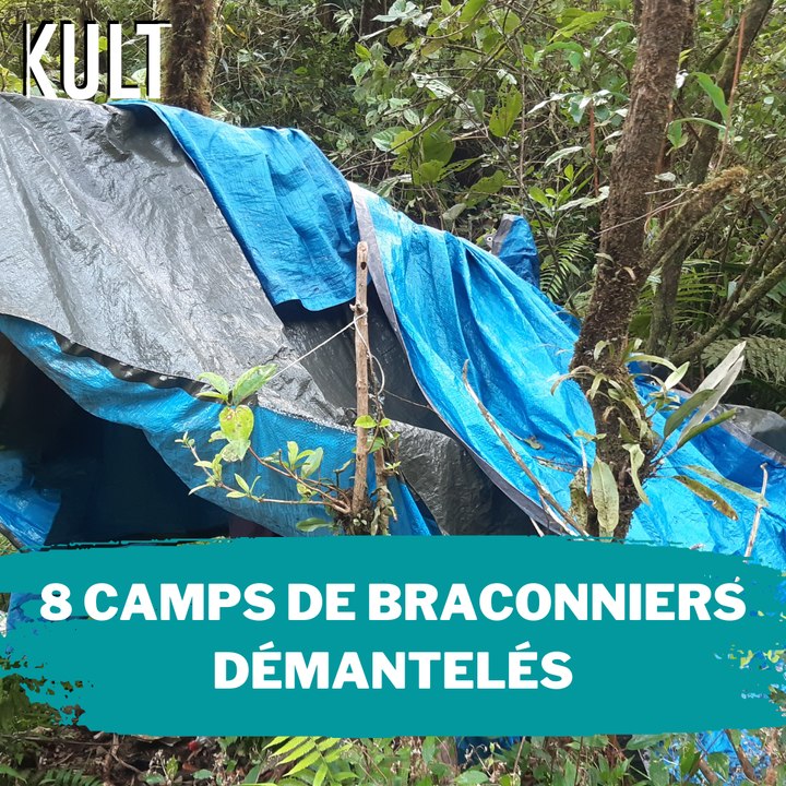 8 camps de braconniers démantelés