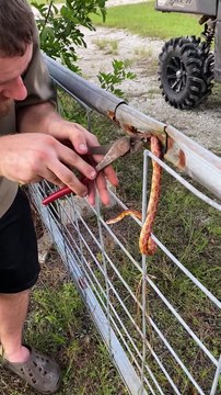 Rescuing a Snake Stuck in a Fence